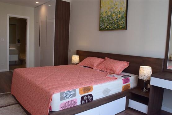 diamond island apartment for rent in district 2 hcmc D210135 (4)